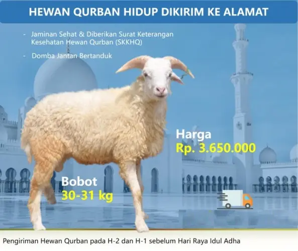 Kurban - Qurban Domba  citangkil cilegon